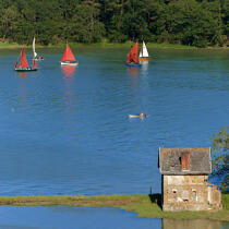 On the River of Auray © Philip Plisson / Plisson La Trinité / AA20551 - Photo Galleries - Auray [The River of]