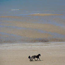 Sulki on the beach. © Philip Plisson / Plisson La Trinité / AA20574 - Photo Galleries - Horse