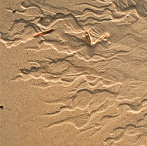 Sand. © Philip Plisson / Plisson La Trinité / AA20614 - Photo Galleries - Square format