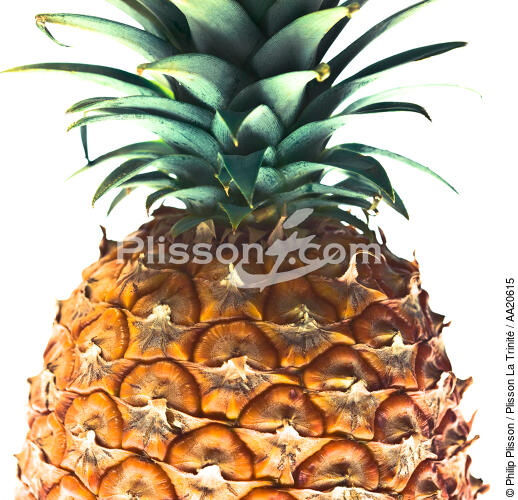 Pineapple. - © Philip Plisson / Plisson La Trinité / AA20615 - Photo Galleries - Gourmet food