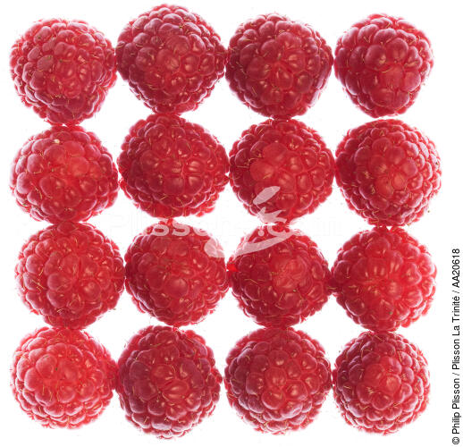 Raspberries. - © Philip Plisson / Plisson La Trinité / AA20618 - Photo Galleries - Fruit