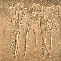 Sand. © Philip Plisson / Plisson La Trinité / AA20626 - Photo Galleries - Square format