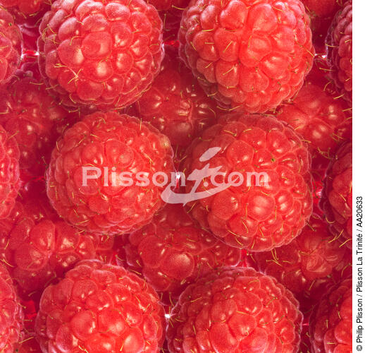 Want to raspberries. - © Philip Plisson / Plisson La Trinité / AA20633 - Photo Galleries - Rapsberry