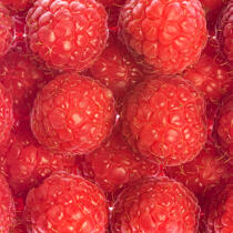 Want to raspberries. © Philip Plisson / Plisson La Trinité / AA20633 - Photo Galleries - Rapsberry