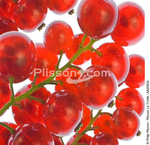 Want to redcurrants. - © Philip Plisson / Plisson La Trinité / AA20634 - Photo Galleries - Fruit