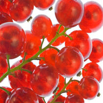 Want to redcurrants. © Philip Plisson / Plisson La Trinité / AA20634 - Photo Galleries - Fruit
