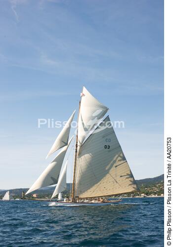 Tuiga the Voiles de Saint Tropez 2008. - © Philip Plisson / Plisson La Trinité / AA20753 - Photo Galleries - Sails