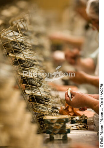 La Quiberonnaise. - © Philip Plisson / Plisson La Trinité / AA20791 - Nos reportages photos - Usine