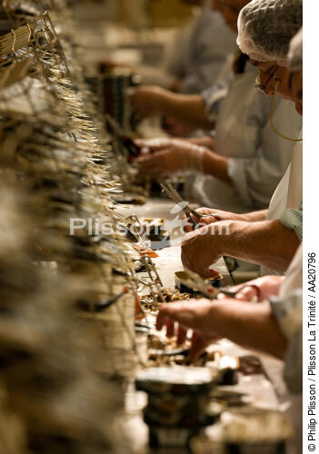 The Quiberonnaise. - © Philip Plisson / Plisson La Trinité / AA20796 - Photo Galleries - Sardine