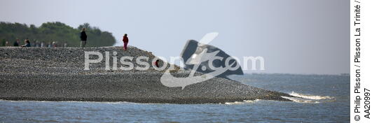 Baie de Somme. - © Philip Plisson / Plisson La Trinité / AA20997 - Nos reportages photos - De Dunkerque à la Baie de Somme