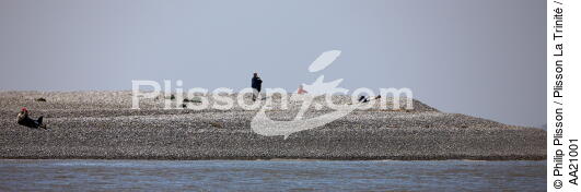 Baie de Somme. - © Philip Plisson / Plisson La Trinité / AA21001 - Nos reportages photos - De Dunkerque à la Baie de Somme