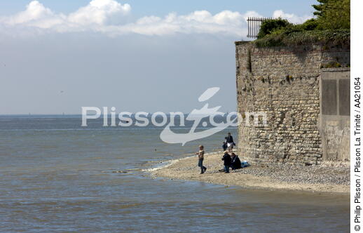 Le Crotoy. - © Philip Plisson / Plisson La Trinité / AA21054 - Nos reportages photos - De Dunkerque à la Baie de Somme