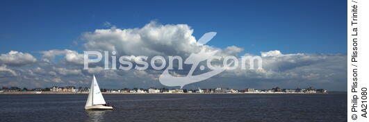 Le Crotoy. - © Philip Plisson / Plisson La Trinité / AA21080 - Nos reportages photos - De Dunkerque à la Baie de Somme