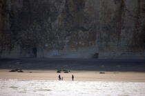 De Dieppe à St Valery en Caux. © Philip Plisson / Plisson La Trinité / AA21250 - Nos reportages photos - Normandie