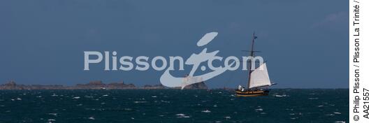 Le Renard devant la Conchée. - © Philip Plisson / Plisson La Trinité / AA21557 - Nos reportages photos - Cotre Corsaire