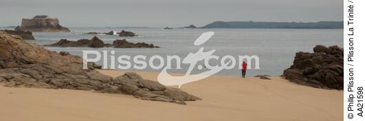 L'île de Cézembre devant Saint-Malo. - © Philip Plisson / Plisson La Trinité / AA21598 - Nos reportages photos - Ile [35]