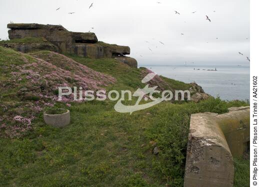L'île de Cézembre devant Saint-Malo. - © Philip Plisson / Plisson La Trinité / AA21602 - Nos reportages photos - Bunker