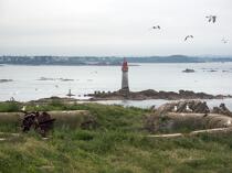 L'île de Cézembre devant Saint-Malo. © Philip Plisson / Plisson La Trinité / AA21603 - Nos reportages photos - Bunker
