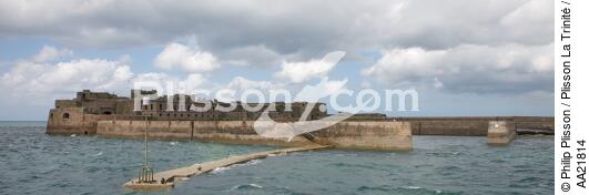 Le fort de l'île Pelée in front of Cherbourg. - © Philip Plisson / Plisson La Trinité / AA21814 - Photo Galleries - Fort
