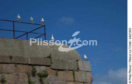 Le fort de l'île Pelée devant Cherbourg. - © Philip Plisson / Plisson La Trinité / AA21823 - Nos reportages photos - Goéland