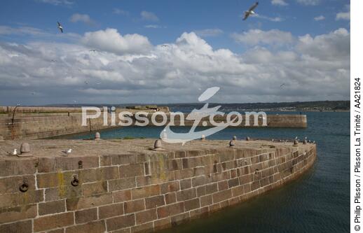 Le fort de l'île Pelée devant Cherbourg. - © Philip Plisson / Plisson La Trinité / AA21824 - Nos reportages photos - Faune et Flore