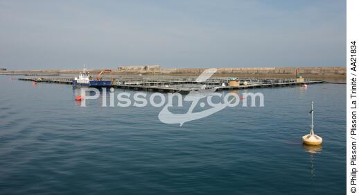 Elevage de saumon devant Cherbourg. - © Philip Plisson / Plisson La Trinité / AA21834 - Nos reportages photos - Manche [La]