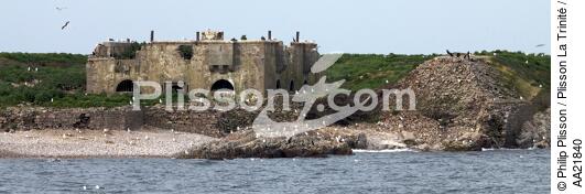 Les îles Saint-Marcouf. - © Philip Plisson / Plisson La Trinité / AA21840 - Nos reportages photos - Fort