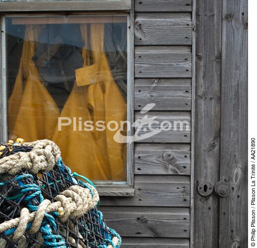 Alderney - © Philip Plisson / Plisson La Trinité / AA21890 - Photo Galleries - England