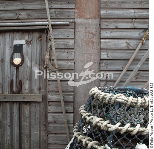 Alderney - © Philip Plisson / Plisson La Trinité / AA21892 - Photo Galleries - Sea decoration
