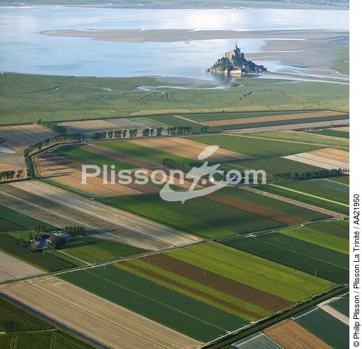 La baie du Mont-Saint-Michel. - © Philip Plisson / Plisson La Trinité / AA21950 - Nos reportages photos - Champ