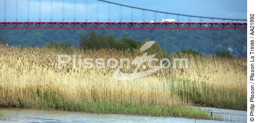 Bord de Seine. - © Philip Plisson / Plisson La Trinité / AA21992 - Nos reportages photos - Pont