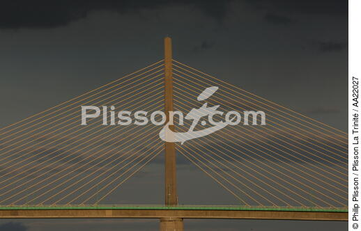 The bridge Brotonne. - © Philip Plisson / Plisson La Trinité / AA22027 - Photo Galleries - From Tréport to the Seine Estuary