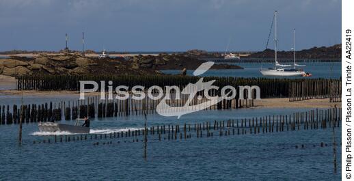 Chausey. - © Philip Plisson / Plisson La Trinité / AA22419 - Nos reportages photos - Conchyliculture