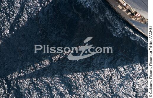 Shamrock V. - © Guillaume Plisson / Plisson La Trinité / AA22464 - Photo Galleries - Yachting