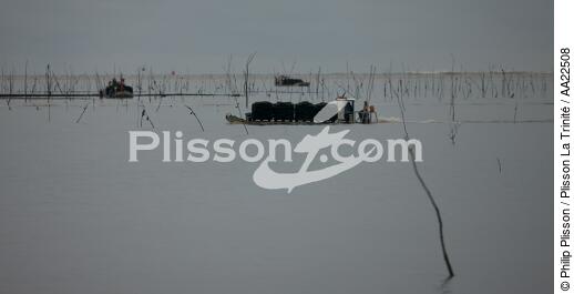 Oyster framing in front of Oleron island. - © Philip Plisson / Plisson La Trinité / AA22508 - Photo Galleries - Oyster Farming