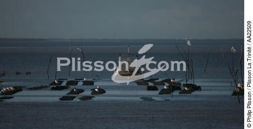 Oyster framing in front of Oleron island. - © Philip Plisson / Plisson La Trinité / AA22509 - Photo Galleries - Oyster Farming