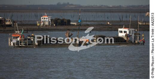 Oyster framing in front of Oleron island. - © Philip Plisson / Plisson La Trinité / AA22513 - Photo Galleries - Charente Maritime