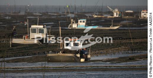 Oyster framing in front of Oleron island. - © Philip Plisson / Plisson La Trinité / AA22514 - Photo Galleries - Oyster bed