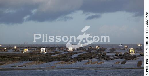 Oyster framing in front of Oleron island. - © Philip Plisson / Plisson La Trinité / AA22520 - Photo Galleries - Oyster bed