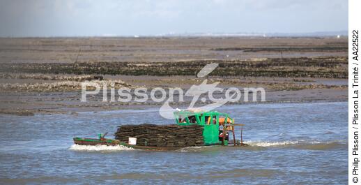 Oyster framing in front of Oleron island. - © Philip Plisson / Plisson La Trinité / AA22522 - Photo Galleries - Oyster Farming