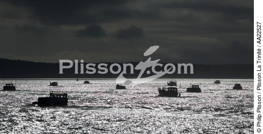 Oyster boat in front of Oleron island. - © Philip Plisson / Plisson La Trinité / AA22527 - Photo Galleries - Lighter used by oyster farmers