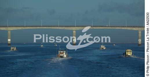 Oyster boat on Seudre river. - © Philip Plisson / Plisson La Trinité / AA22530 - Photo Galleries - Bridge