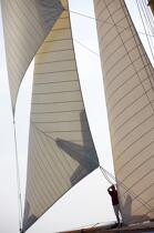 The centenary of Tuiga. © Guillaume Plisson / Plisson La Trinité / AA22534 - Photo Galleries - Classic Yachting