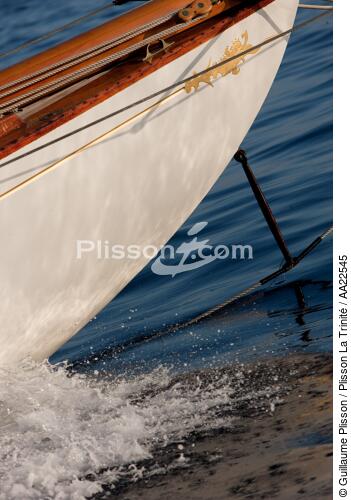 Le centenaire de Tuiga. - © Guillaume Plisson / Plisson La Trinité / AA22545 - Nos reportages photos - Elément d'un bateau