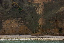 Cliffs at Pointe du Hoc. © Philip Plisson / Plisson La Trinité / AA22590 - Photo Galleries - Cliff