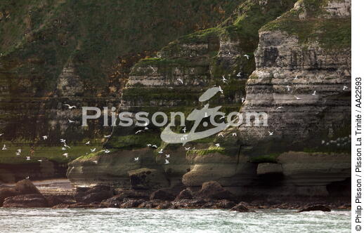 Falaises à la Pointe du Hoc. - © Philip Plisson / Plisson La Trinité / AA22593 - Nos reportages photos - Pointe du Hoc