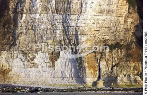 Heron coast near Dieppe. - © Philip Plisson / Plisson La Trinité / AA22603 - Photo Galleries - Dieppe