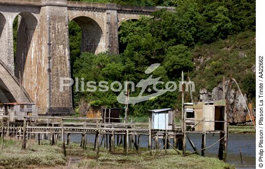 Sur les bord de Rance - © Philip Plisson / Plisson La Trinité / AA22662 - Nos reportages photos - Ille-et-Vilaine