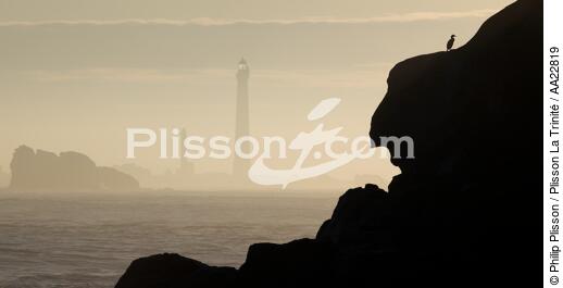 Le phare de l'île Vierge - © Philip Plisson / Plisson La Trinité / AA22819 - Nos reportages photos - Phare [29]
