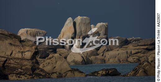 Brignogan. - © Philip Plisson / Plisson La Trinité / AA22837 - Photo Galleries - Rock
